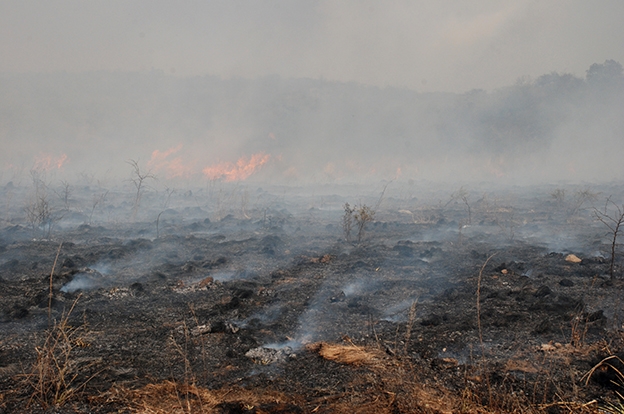 La Provincia decretó alerta ambiental por riesgo de incendios