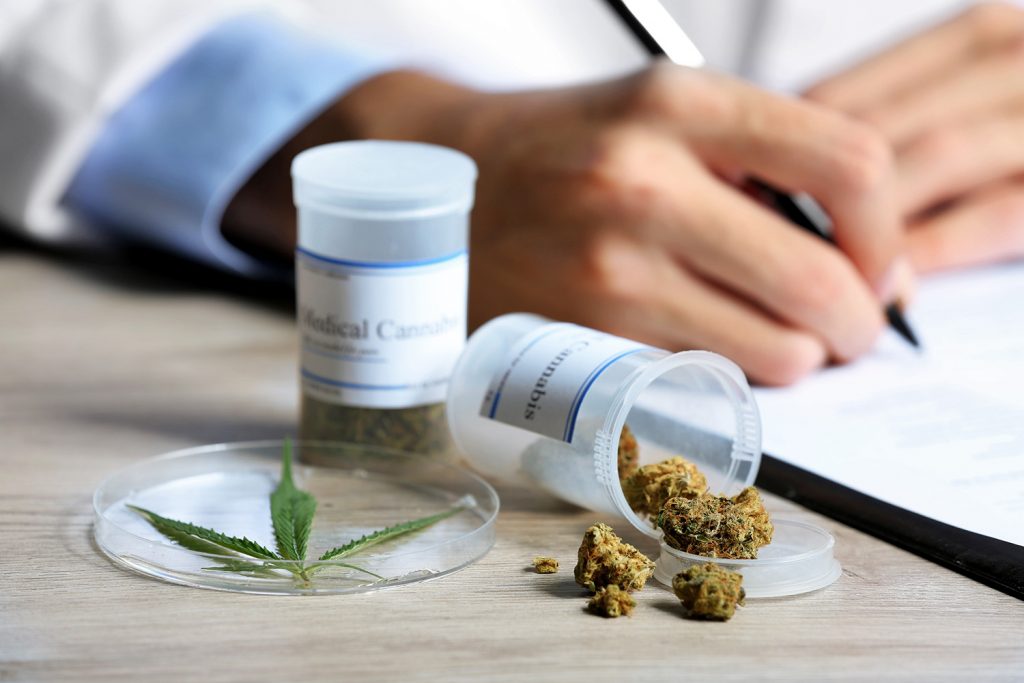 Aprueban ley de uso medicinal del Cannabis