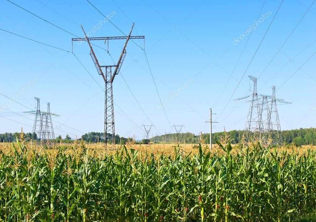 Problema en el campo por la tarifa eléctrica