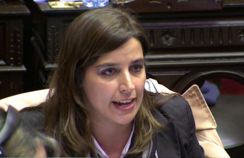 Dip. Soledad Carrizo: ‘Estamos necesitando un Gobierno Provincial que ponga en agenda como prioridad el tema del agua’