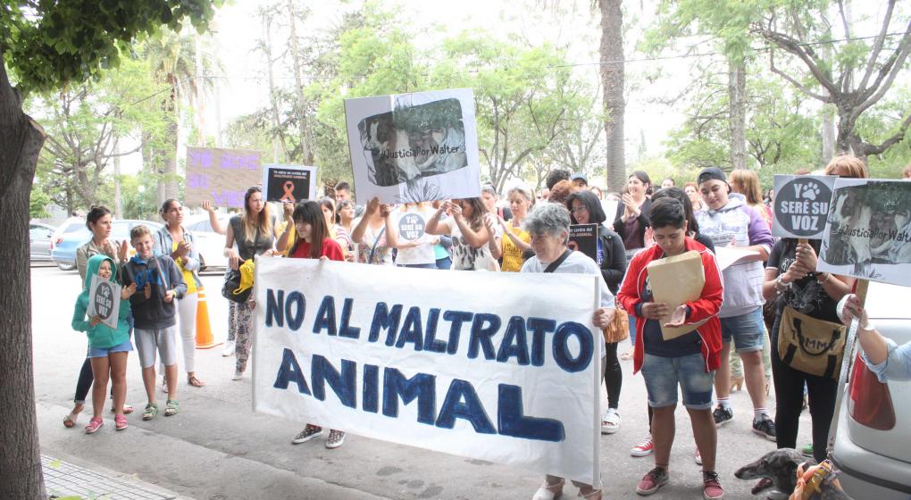 Protesta de vecinos por el maltrato animal.