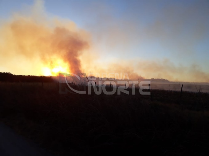 Se incendiaron 5 hectáreas en el ejido de Juarez Celman.