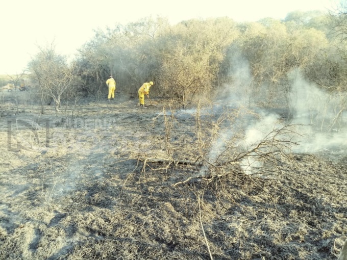 Incendio Forestal en Los Molles.