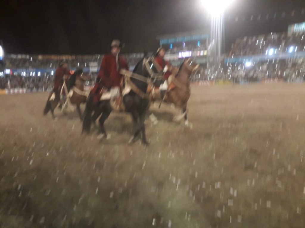 Así pasaron por el festival los caballos de paso peruano.