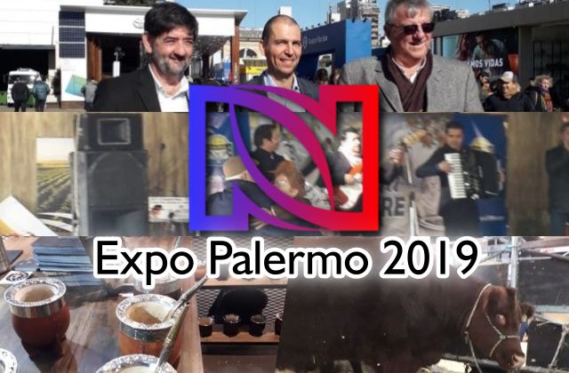 Esto pasa en Expo Palermo 2019.