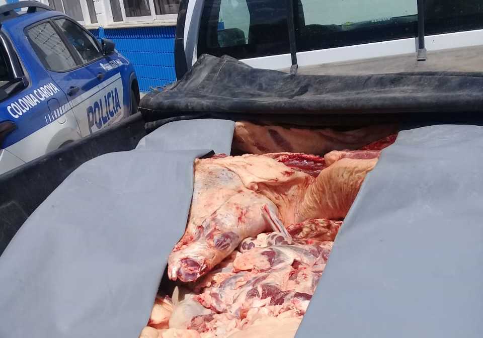 Trasladaba 300kg de animales faenados en su camioneta.