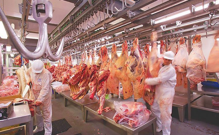 Paula Español, anunció un posible cierre de exportaciones de carne e intervención en los granos.