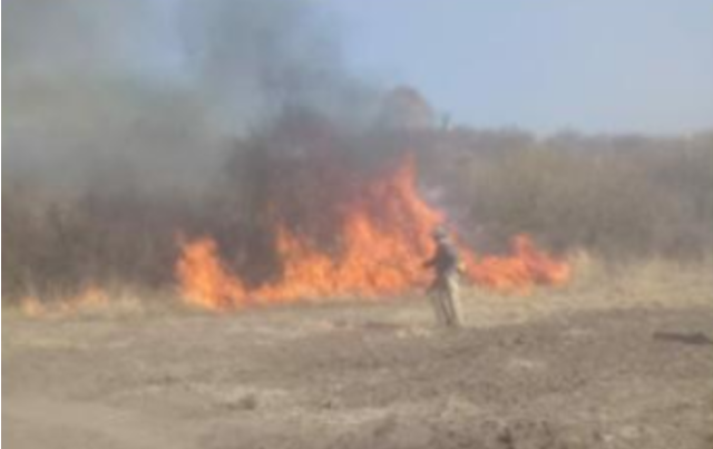 Lograron contener un incendio en un campo colindante al predio de la SRJM