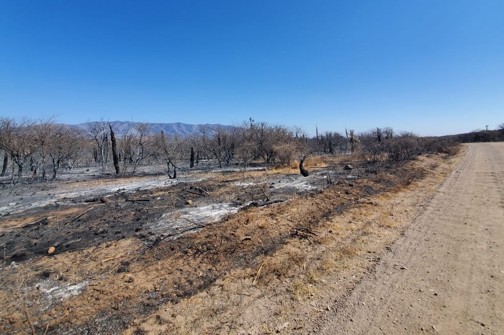 Incendios: ya se cargan las Declaraciones Juradas por Desastre Agropecuario
