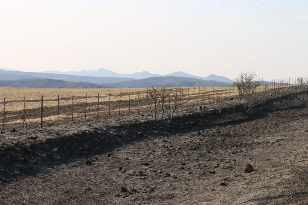 La provincia presentó denuncia por venta de terrenos afectados por incendios