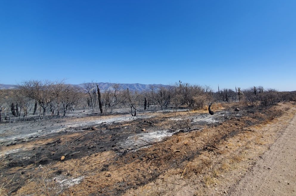 Incendios: Proponen ampliar las zonas de desastre agropecuario