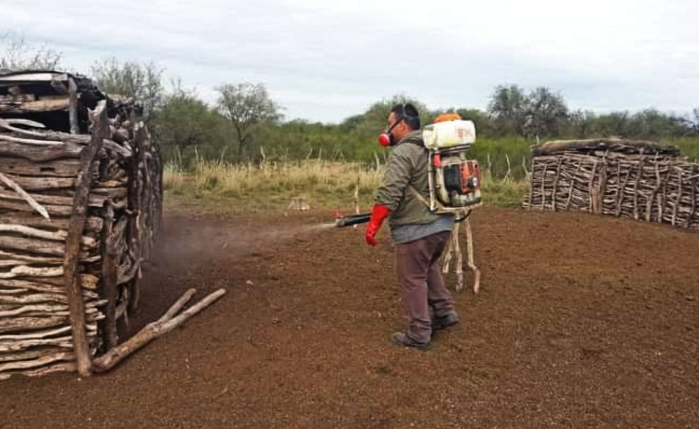 Chagas: Salud visitará viviendas para evaluar la presencia de vinchucas