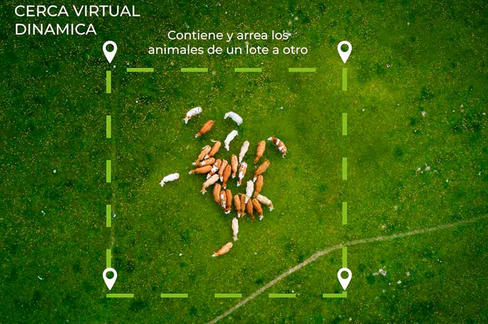 Innovación agtech: Bastó desarrolló un «corral virtual» para el pastoreo inteligente