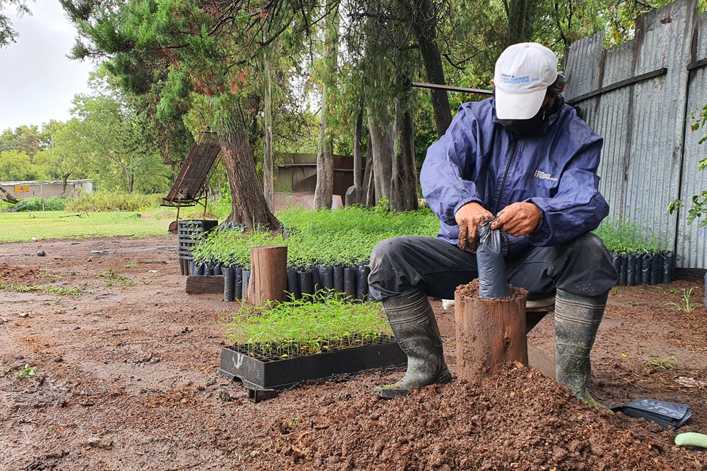 Vivero Provincial de Villa del Totoral: 75 años produciendo plantas