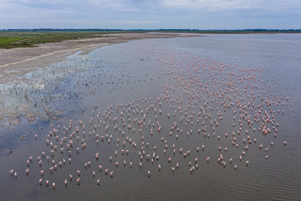 Laguna Mar Chiquita: un emblema color rosa con acento cordobés