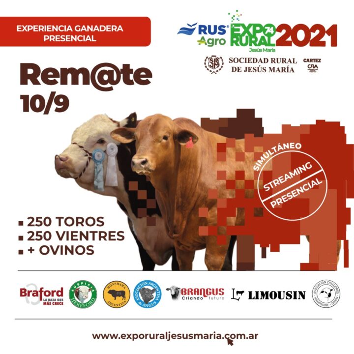 74º EXPO RURAL: PALPITAMOS NUESTRO REMATE GANADERO!