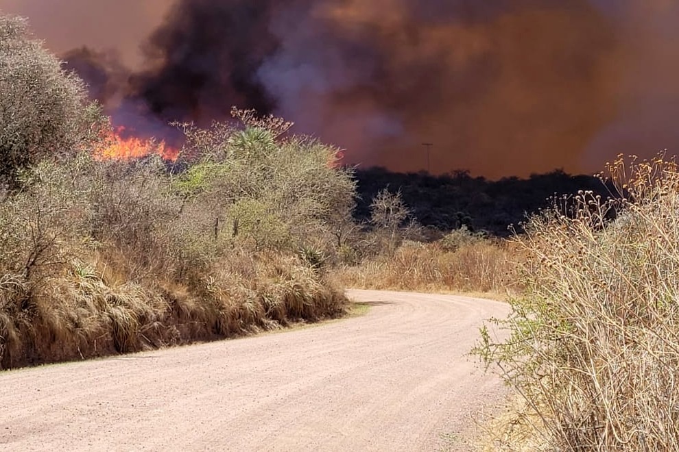 Continúan activos los incendios de La Granja y Tala Cañada
