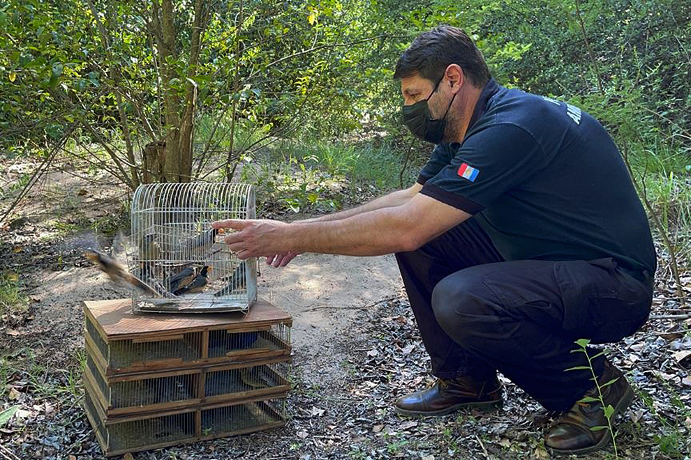 En el Día Mundial de las Aves, Policía Ambiental liberó más de 50 especies en Ascochinga