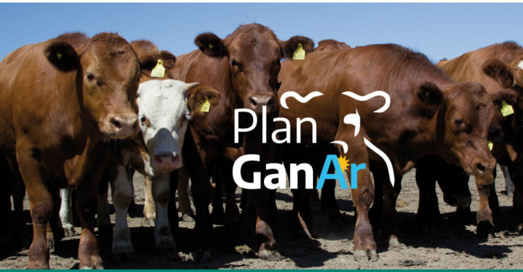 Plan Ganar: Entregan $3.000 millones en créditos a la ganadería de Córdoba