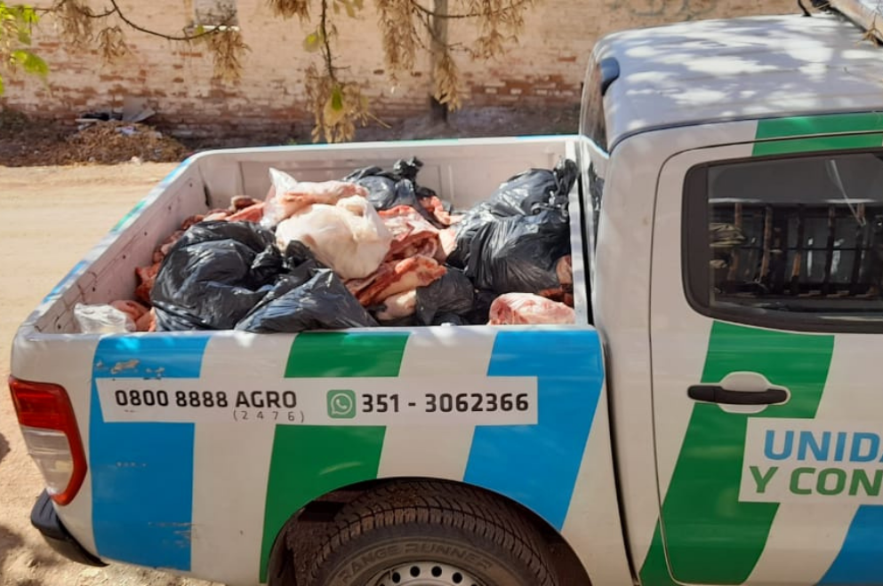Faena clandestina: decomisan 500 kilos de carne en Cruz del Eje