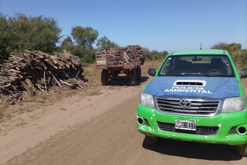 Policía Ambiental frenó intervenciones forestales en un predio de Las Arrias