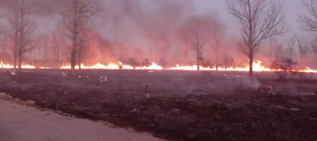 Controlan incendio en la zona rural de Colonia Caroya.