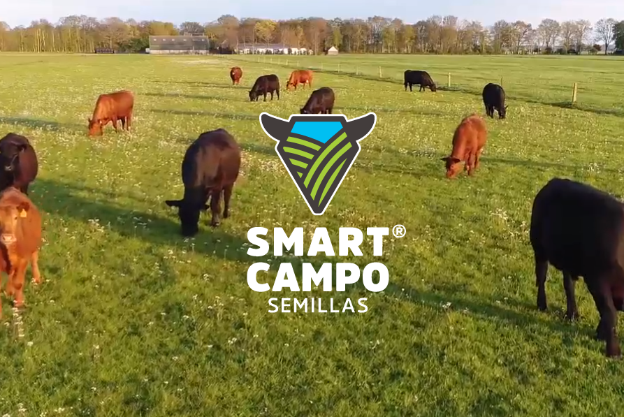 Hablamos de campo en el bloque de Smart Campo Semillas