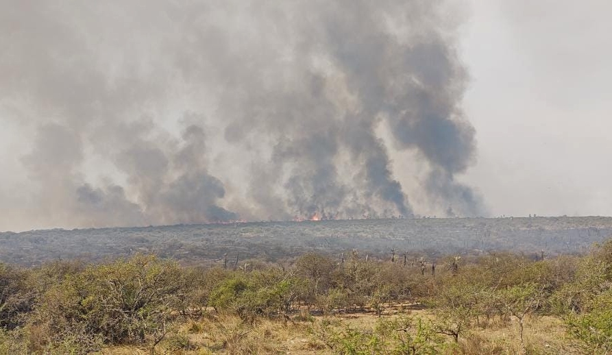 ‘Alerta’ por condiciones meteorológicas de peligro para el desarrollo de incendios forestales