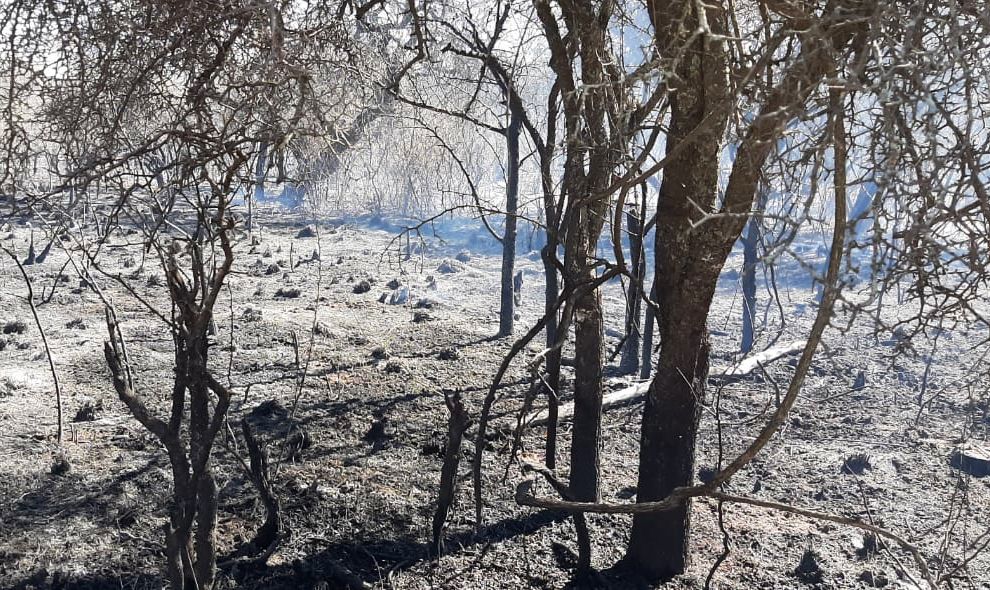 Quedó contenido un incendio en el Paraje La Argentina