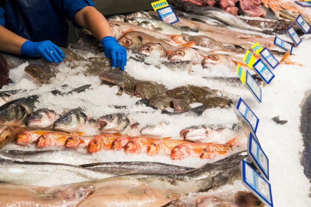 Cómo prevenir intoxicaciones alimentarias con pescados y mariscos