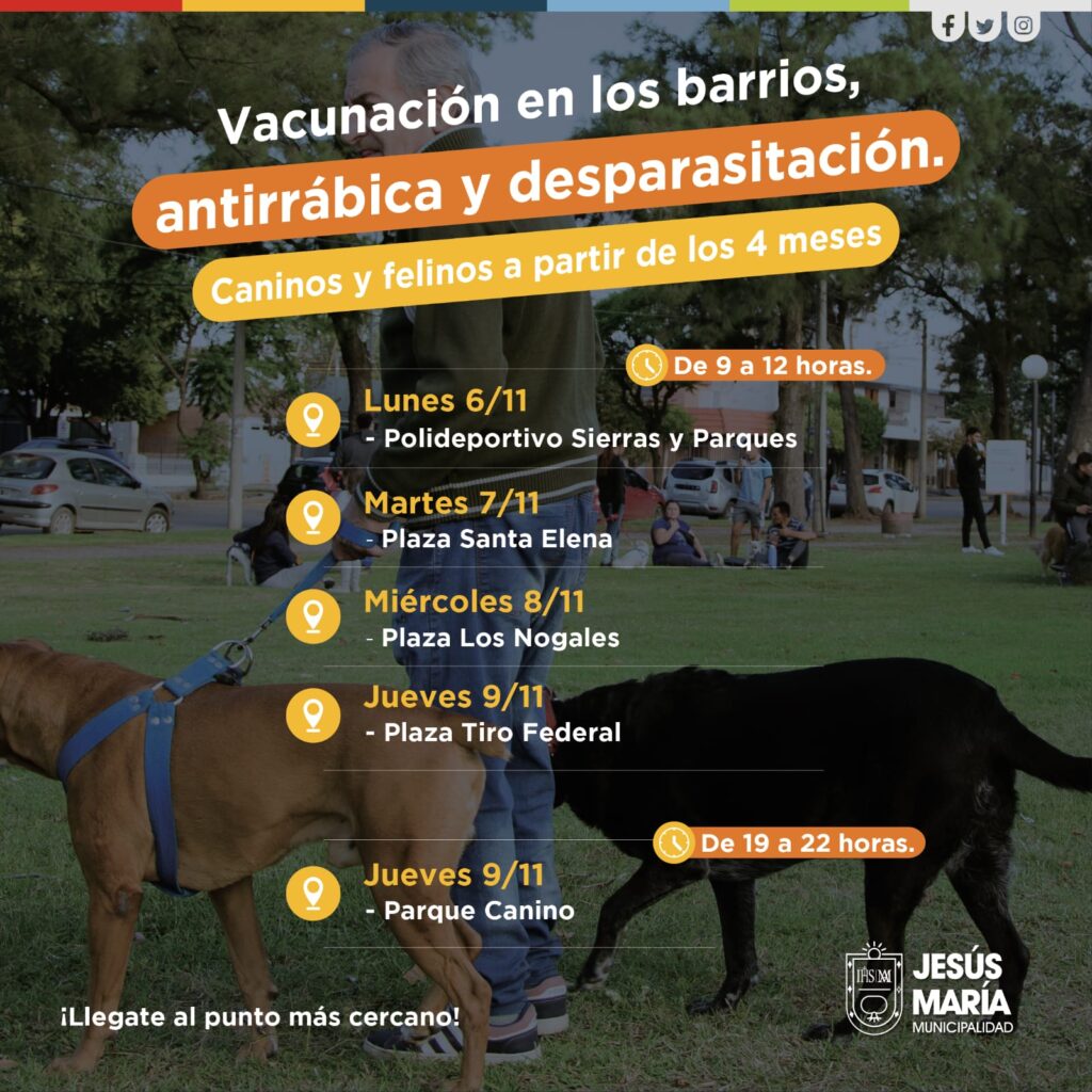 Jesús María: continúa la campaña de vacunación antirrábica y desparasitación de mascotas por los barrios