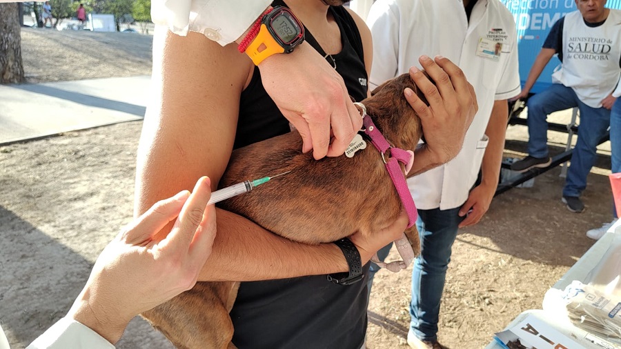 Semana de vacunación antirrábica en el Parque de las Tejas